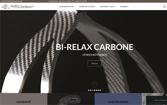 gaston-mercier.com
